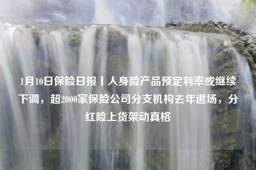 1月10日保险日报丨人身险产品预定利率或继续下调，超2000家保险公司分支机构去年退场，分红险上货架动真格