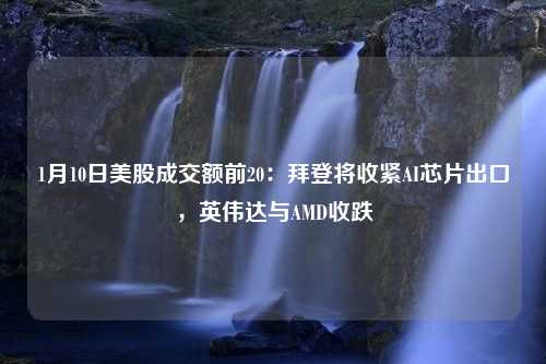 1月10日美股成交额前20：拜登将收紧AI芯片出口，英伟达与AMD收跌