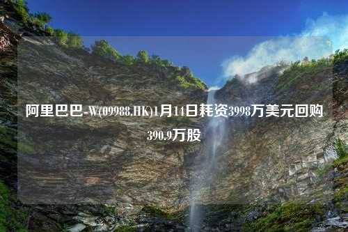 阿里巴巴-W(09988.HK)1月14日耗资3998万美元回购390.9万股