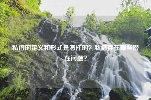 私借的定义和形式是怎样的？私借存在哪些潜在问题？