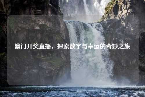 澳门开奖直播，探索数字与幸运的奇妙之旅