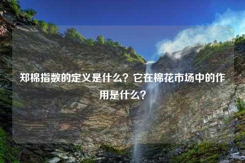 郑棉指数的定义是什么？它在棉花市场中的作用是什么？