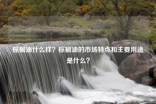 棕榈油什么样？棕榈油的市场特点和主要用途是什么？