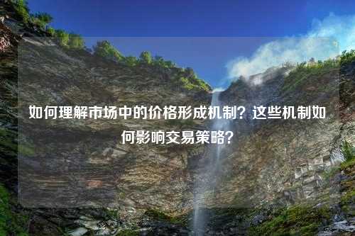 如何理解市场中的价格形成机制？这些机制如何影响交易策略？